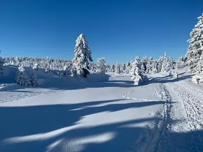 Gemütliche Ferienwohnung in Elbingerode/Harz im Winter