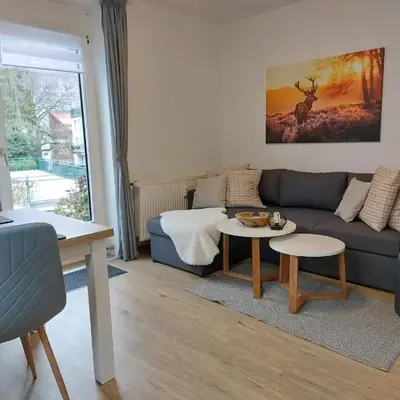 Ferienwohnung Harzwunder