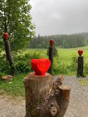 Naturlandschaft in der Nähe der Ferienwohnung