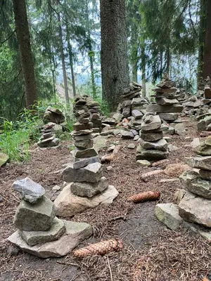 Naturlandschaft in der Nähe der Ferienwohnung