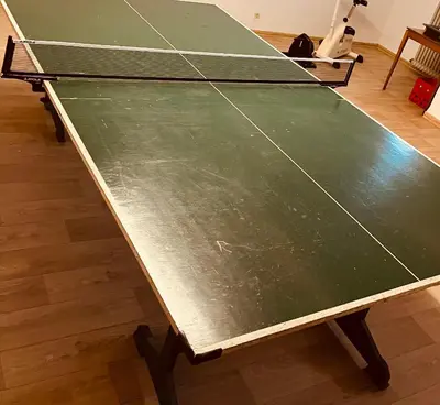 Tischtennis in der Unterkunft Apartment Alm View, im Oberharz oder in der Nähe