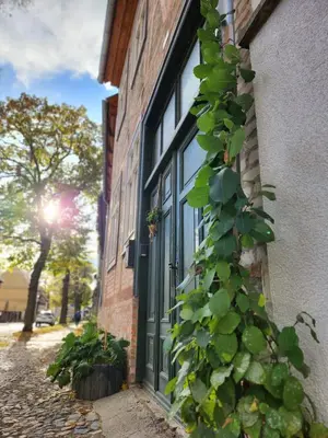 Ein Garten an der Unterkunft Ferienwohnung im Konvent