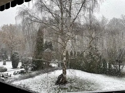 Henriette im Winter