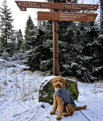 Bergliebe im Winter
