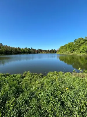 Naturlandschaft in der Nähe der Ferienwohnung