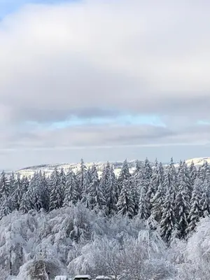 Ferienwohnung Sonnenschein im Winter
