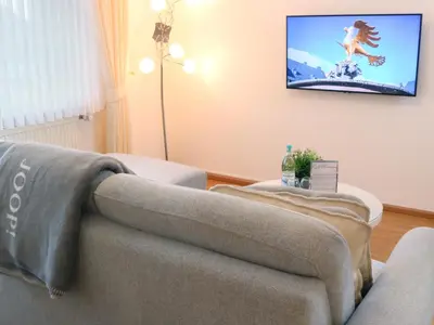 TV/Unterhaltungsangebot in der Unterkunft Heimat Goslar Apartments 