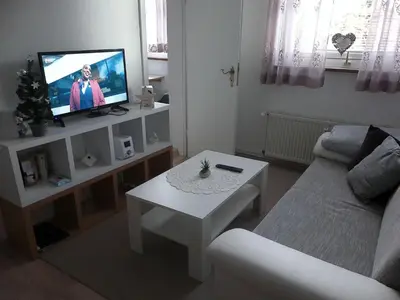 TV/Unterhaltungsangebot in der Unterkunft Apartment Amina by Interhome