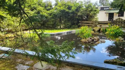 Ein Garten an der Unterkunft Ferienwohnung Traumausblick Hahnenklee