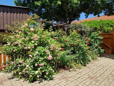 Ein Garten an der Unterkunft Ferienhaus Bavaria WR - Ferienwohnung Zefix