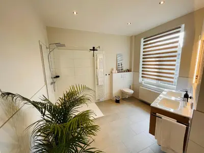 Ein Badezimmer in der Unterkunft COZY, neue 3 Zimmer Ferienwohnung Goslar Altstadt