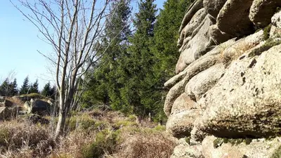 Naturlandschaft in der Nähe des Ferienhauses