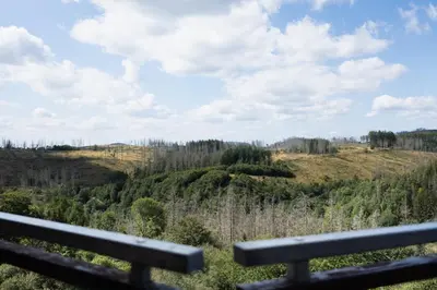 Naturlandschaft in der Nähe der Ferienwohnung