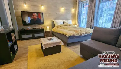 TV/Unterhaltungsangebot in der Unterkunft Arode Ferienhaus Harzensfreund