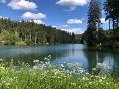 Naturlandschaft in der Nähe der Ferienwohnung