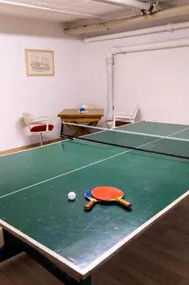 Eine Spielezimmer in der Unterkunft FeWo Harzer Wiesenblick, bis 2 Hunde willkommen, W-Lan, Sauna, DTV 4 Sterne, 3 Pfoten