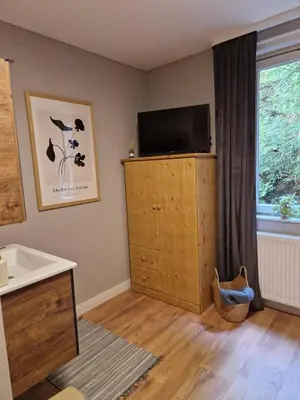 TV/Unterhaltungsangebot in der Unterkunft Harz Hotel Waldhaus