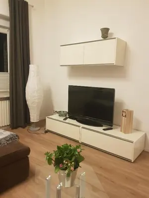 TV/Unterhaltungsangebot in der Unterkunft Ferienwohnung Peters