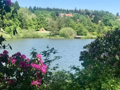 Naturlandschaft in der Nähe des Ferienhauses