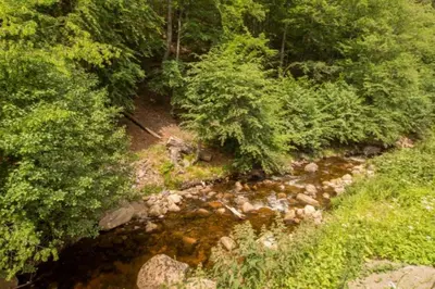 Naturlandschaft in der Nähe des Ferienhauses