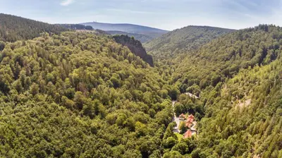 Naturlandschaft in der Nähe des Ferienhauses