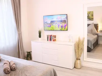 TV/Unterhaltungsangebot in der Unterkunft Heimat Goslar Apartments 