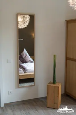 Ein Bett oder Betten in einem Zimmer der Unterkunft Auszeit-im-Harz Haus 2 Wohnung 3