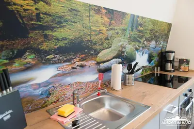 Küche/Küchenzeile in der Unterkunft Auszeit-im-Harz Haus 2 Wohnung 3