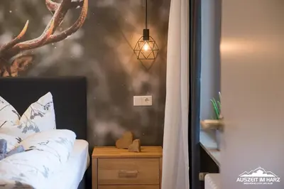 Ein Bett oder Betten in einem Zimmer der Unterkunft Auszeit-im-Harz Haus 3 Wohnung 1