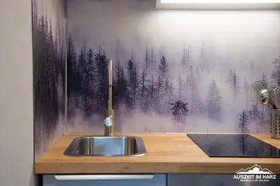 Grundriss der Unterkunft Auszeit-im-Harz Haus 3 Wohnung 1