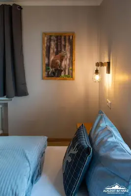 Ein Bett oder Betten in einem Zimmer der Unterkunft Auszeit-im-Harz Haus 3 Wohnung 3