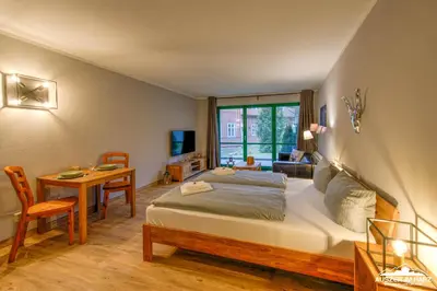 TV/Unterhaltungsangebot in der Unterkunft Auszeit-im-Harz Haus 5 Wohnung 11