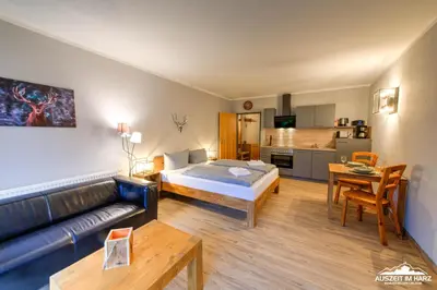 Küche/Küchenzeile in der Unterkunft Auszeit-im-Harz Haus 5 Wohnung 11