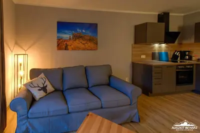 Küche/Küchenzeile in der Unterkunft Auszeit-im-Harz Haus 5 Wohnung 12