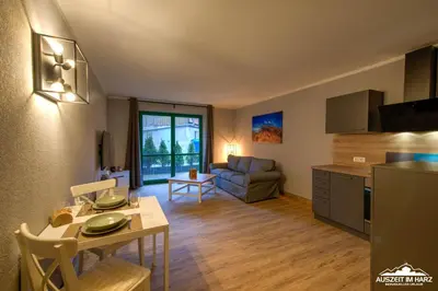 Küche/Küchenzeile in der Unterkunft Auszeit-im-Harz Haus 5 Wohnung 12