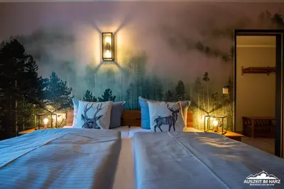 Ein Bett oder Betten in einem Zimmer der Unterkunft Auszeit-im-Harz Haus 5 Wohnung 24