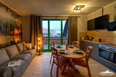 TV/Unterhaltungsangebot in der Unterkunft Auszeit-im-Harz Haus 5 Wohnung 35