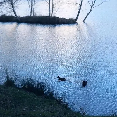 Naturlandschaft in der Nähe des Ferienhauses