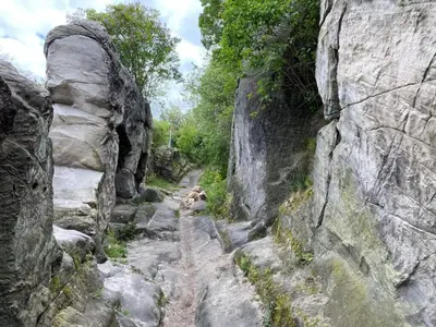 Naturlandschaft in der Nähe der Ferienwohnung