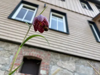 Das Gebäude in dem sich die Ferienwohnung befindet