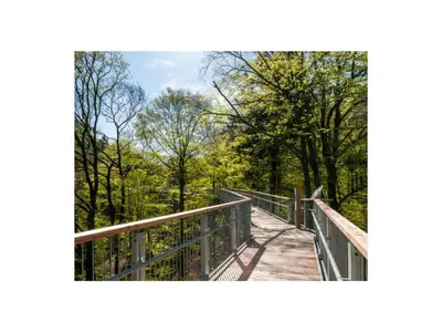 Grundriss der Unterkunft Holiday apartment Harzfewo-Wolf