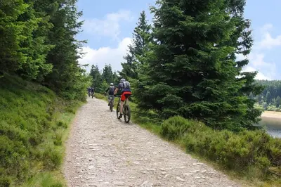 Gäste, die in der Unterkunft Ferienhaus Nr 51, Typ B, Ferienanlage Blauvogel, Hasselfelde, Harz - b50651 übernachten
