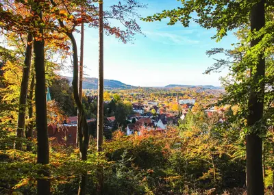 Naturlandschaft in der Nähe der Ferienwohnung