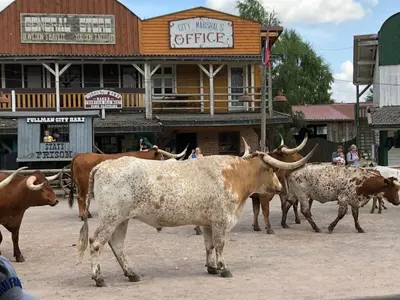 Tiere im Ferienhaus oder in der Nähe