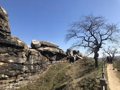 Naturlandschaft in der Nähe des Ferienhauses