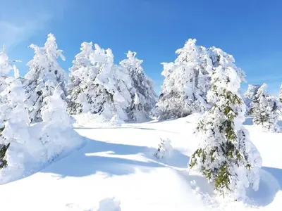 Fingerhut Modern Retreat im Winter