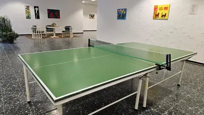 Tischtennis in der Unterkunft Bergzauber Apartment mit Pool, Sauna, Balkon und Panoramablick oder in der Nähe