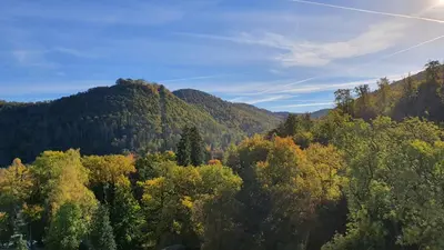 Naturlandschaft in der Nähe der Ferienwohnung
