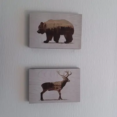 Tiere in der Ferienwohnung oder in der Nähe