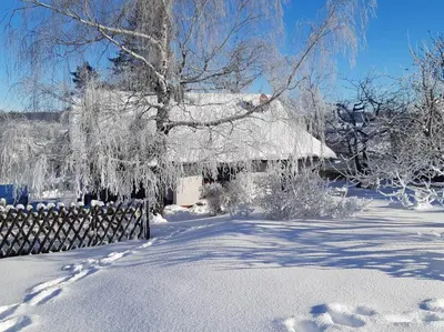 Ferienhaus Harz im Winter